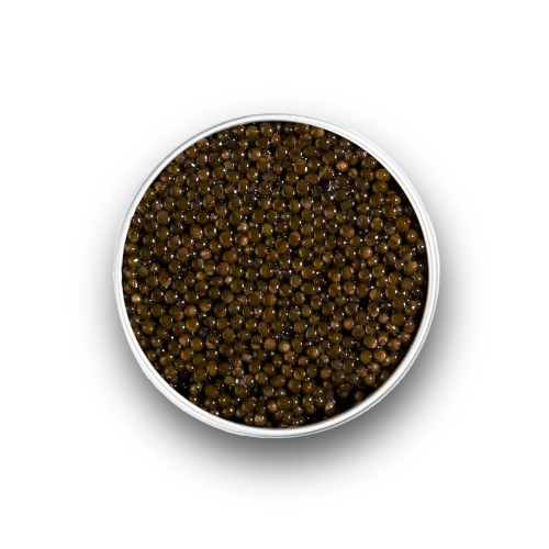 Compra Caviar Real Baeri 30g al por mayor