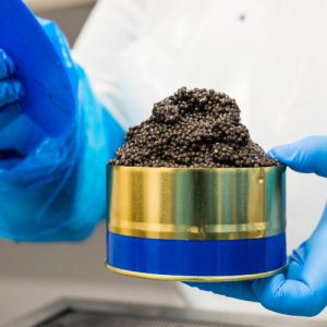 Why is caviar so expensive?