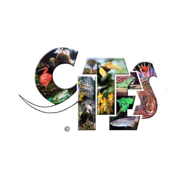 cites-logo-700 logo cites